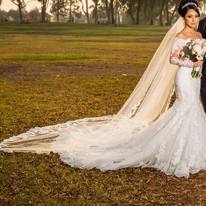 Pronovias wedding dress and veil